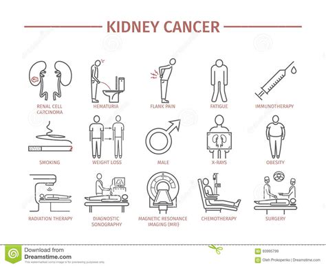 Kidney cancer, kidney cancer signs and symptoms, what is kidney cancer? cleveland clinic: Kidney Cancer Symptoms. stock vector. Illustration of ...