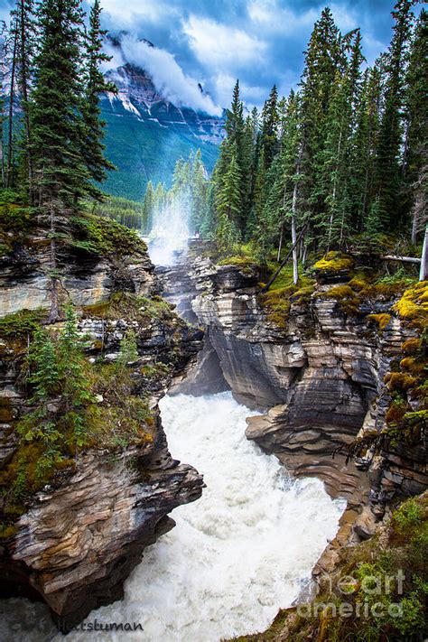 Athabasca Falls Photograph By Chris Heitstuman