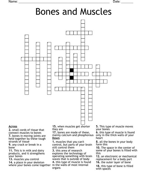 Bones And Muscles Crossword Wordmint