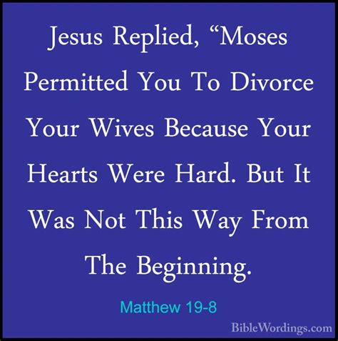 Matthew 19 Holy Bible English