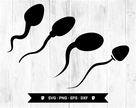 Sperm Svg Human Sperm Cell Svg Png Eps Dxf Cricut Digital Download Instant Download Etsy