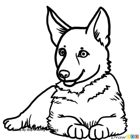 Make sure the reference line runs between the ears and eyes and through the middle of your dog's nose. Dog Running Drawing | Free download on ClipArtMag