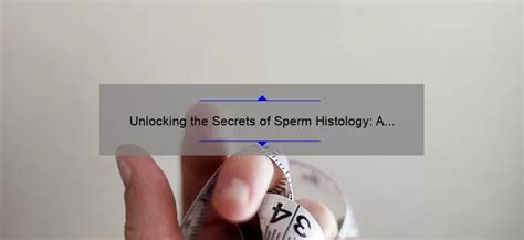 Unlocking The Secrets Of Sperm Histology A Fascinating Journey Into Male Reproductive Health