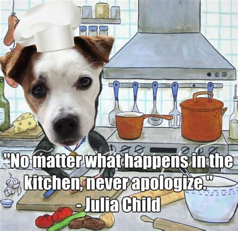 17 Best Jack Russell Memes Page 4 Of 6 Pettime