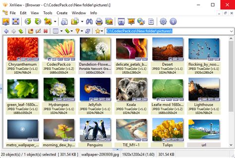 An efficient multimedia viewer, organizer and converter for windows. Xnview Full Download : Download Xnview 32 Bit 64 Bit For Windows 10 : Download dan ekstrak file ...