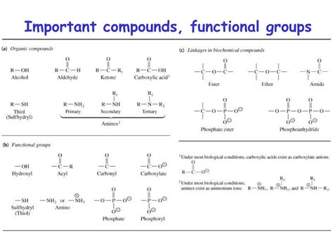 Ppt Bch 400600 Introductory Biochemistry Powerpoint Presentation