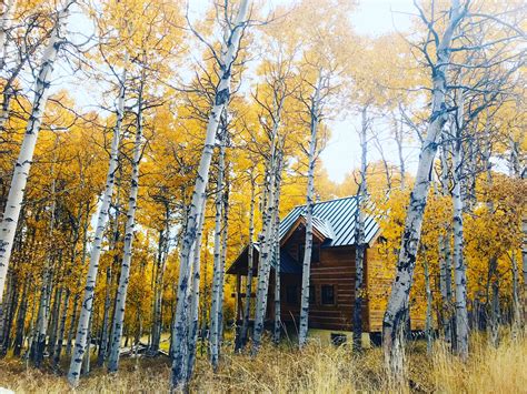 Maybe you would like to learn more about one of these? Aspen dell, California | Cabin life, Lake house, Wood lake