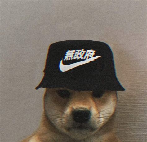 Dog With Hat Meme Naruto 2021