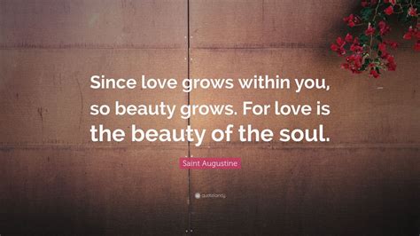 To install, download and unpack the archive 2274808502.rar; Saint Augustine Quote: "Since love grows within you, so ...