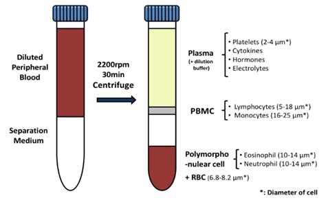 Peripheral Blood Mononuclear Cells Pbmc Flow Contract Site