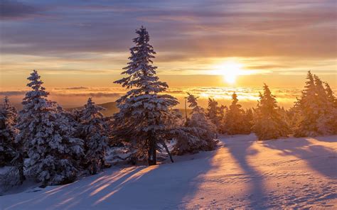 Snow Forest Sunrise Wallpapers Top Free Snow Forest Sunrise