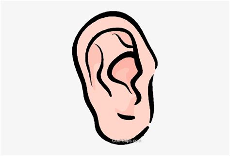 Human Ear Royalty Free Vector Clip Art Illustration Ouvido Png Png