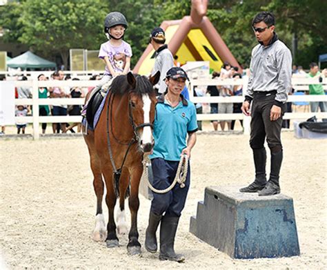 Tuen Mun Public Riding School Jc Equestrian Development About Hkjc