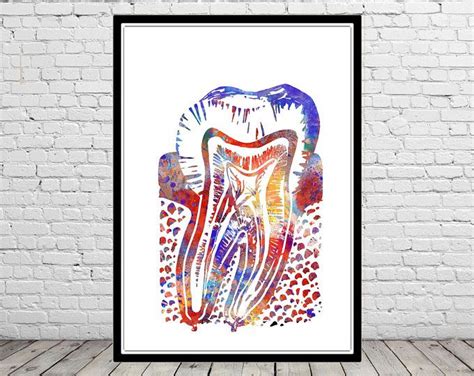 Molar Arte Dental Impresión Abstracto Molar Acuarela Póster Etsy