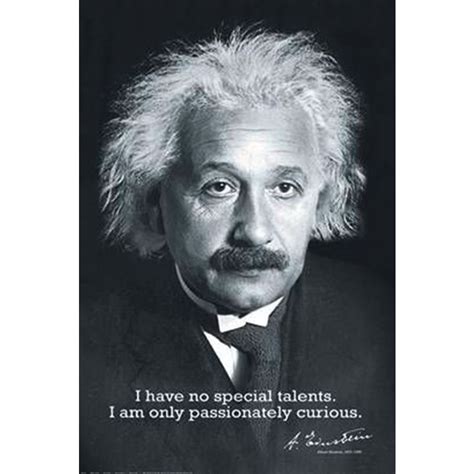 Albert Einstein Poster I Have No Special Talents Poster Großformat