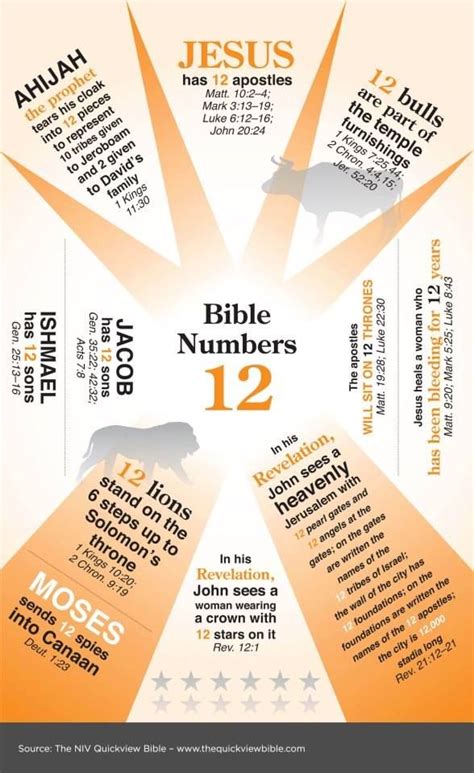 Bible Number 12 Bible Knowledge Bible Facts Bible Study Notebook