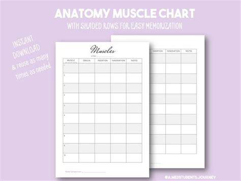 11.06.2020 · inspiring printable worksheets muscle anatomy printable images. Printable, downloadable Anatomy Muscle Chart for neat notes, helps memorize muscle o… | How to ...