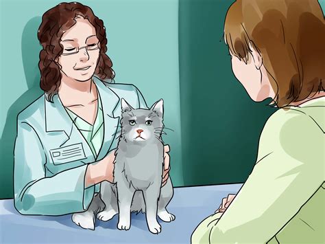 Some cats just won't give peace a chance. 2 Easy Ways to Deal With a Female Cat in Heat - wikiHow