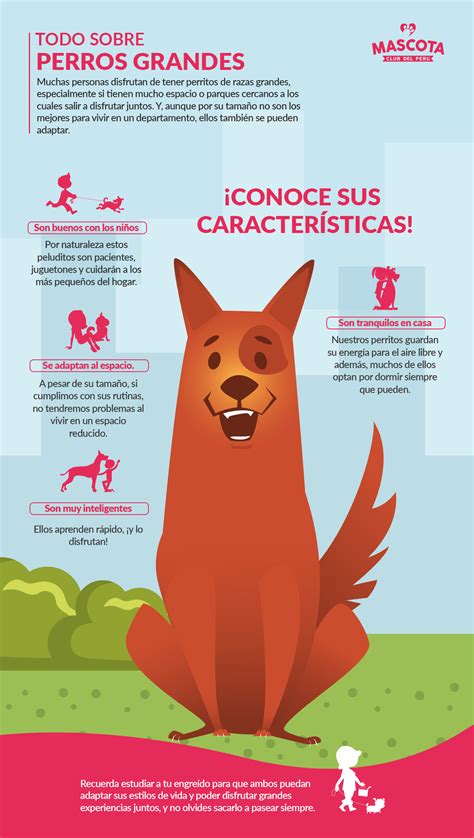 Infografia Mascota Club Del Perú