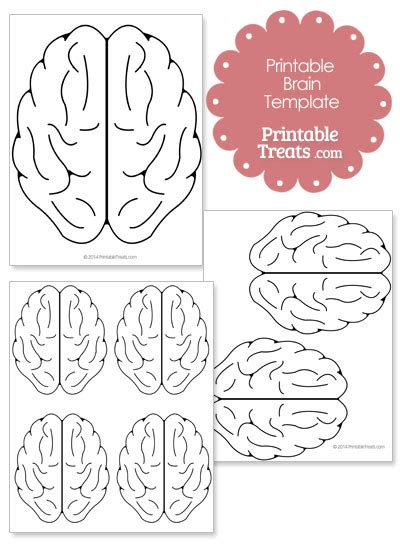 Printable Brain Pictures For Kids