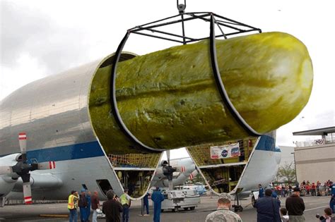 The title of this video means cardon is the largest species in the cactus family, it does. Photoshop this swung open Super Guppy | Worlds largest ...