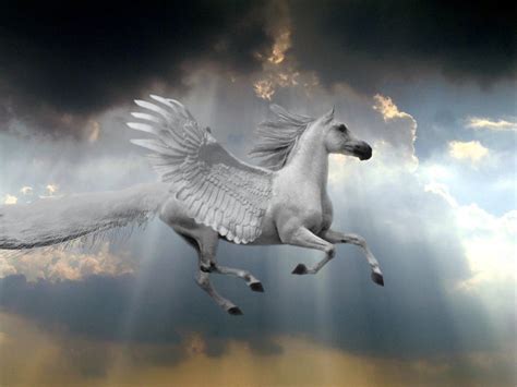 Pegasus By Thereapersapprentice On Deviantart