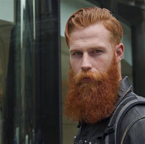 Have you ever noticed a blonde or brunette guy with red in his beard? red beard on Tumblr