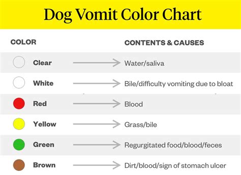 Vomiting Dog Vomit Color Chart