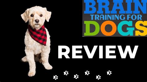 Unleash Your Dog's Genius: Brain Training for Dogs Review. Adrienne