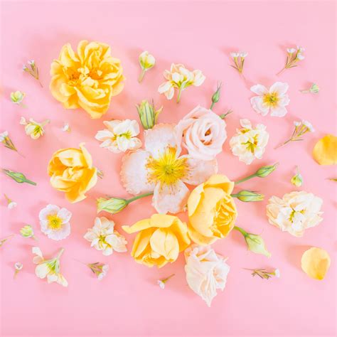 Download Digital Blooms August 2019 Desktop Wallpaper Flowers