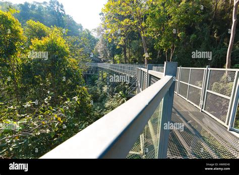 The Canopy Walkway At Queen Sirikit Botanic Garden In Mae Rim Chiang