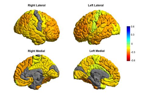 In short, the brain of a psychopath is different than a normal brain. Scientists reveal the first ever map of the bipolar brain