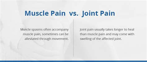Muscle Pain Vs Joint Pain What Is The Difference Elite Sports