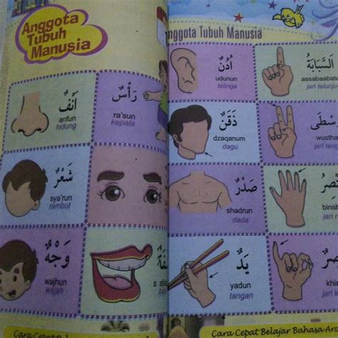 Meski materi ini cukup simple dan mudah difahami. Belajar Bahasa Arab Anggota Tubuh Manusia - Belajar Bahasa ...