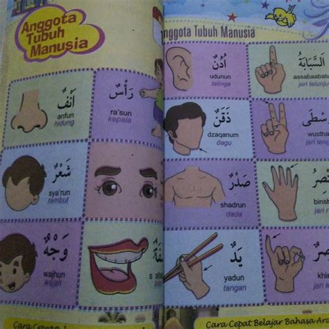 Bahasa arab anggota badan by kanzha. Nama Anggota Badan Dalam Bahasa Arab