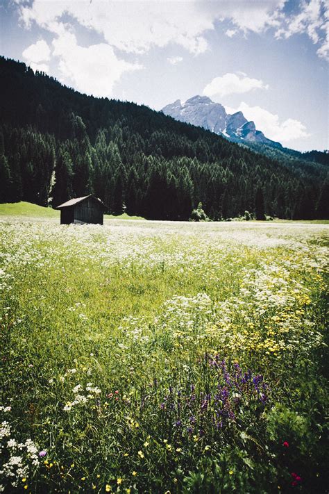 Mountain Meadow Meadow Photography Beautiful Images Nature Meadow