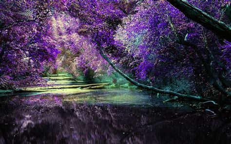 Hd Lilac Wallpapers Free Download Pixelstalknet