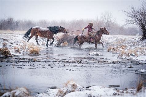 Life On A Ranch Cowgirl Riding Blizzard Stream Crossing Dog Training