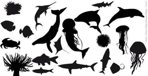 Download Fish Silhouettes Vector | Fish silhouette, Silhouette ...