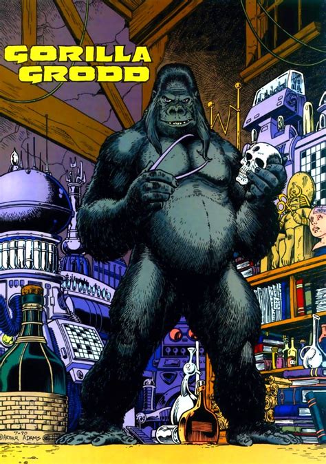 Enjoy unlimited streaming access to original dc series with new episodes available weekly. Gorilla Grodd | DC Database | FANDOM powered by Wikia