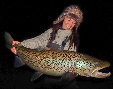 The Biggest Brown Trout In The World Thingvellir Iceland Flylords Mag
