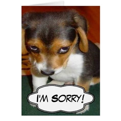Sad Puppy Im Sorry Card Zazzle