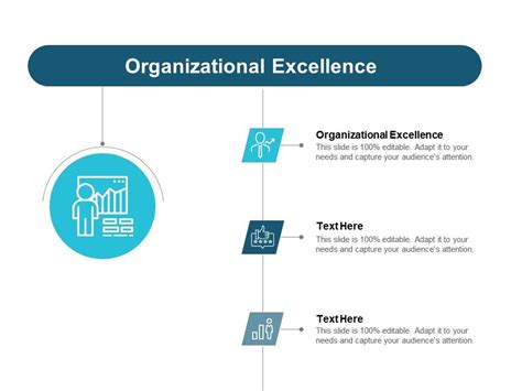 Organizational Excellence Ppt Powerpoint Presentation Infographic