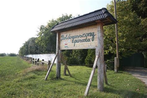 A hírek arról is szóltak, hogy lajcsi mocsai birtoka is közművek nélkül maradhat a gyermekekkel, és most már boglárkával együtt. Elásott női holtestet találtak Lagzi Lajcsi birtoka ...