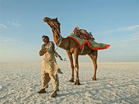 Great desert expedition log i. Images By Abhishek | A camel rider gets ready for work