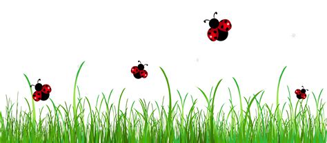 Grass With Ladybugs Png Clipart Picture Clip Art Free Clip Art