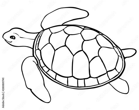 Contour Turtle Coloring Page For Kids Line Art Stock Vector Adobe