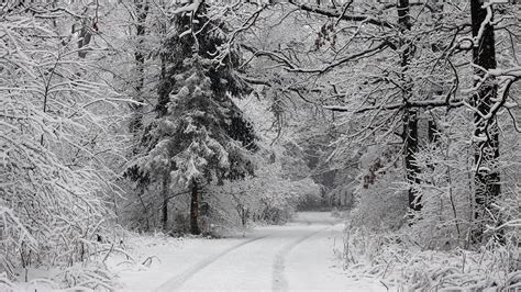Pictures Winter Nature Snow Roads Forest Trees 1920x1080
