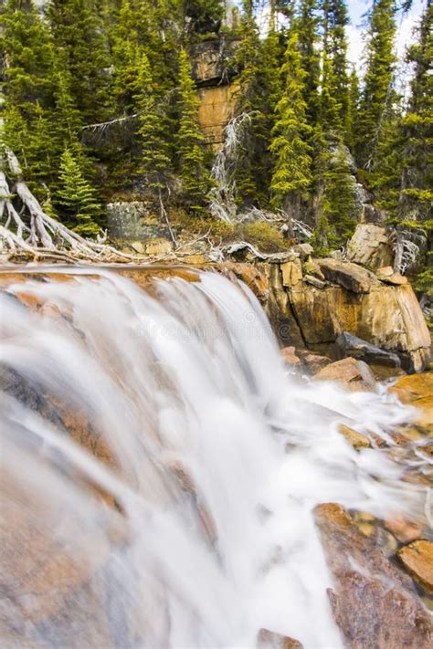 Giant Steps Waterfalls Banff National Park Stock Photos Free