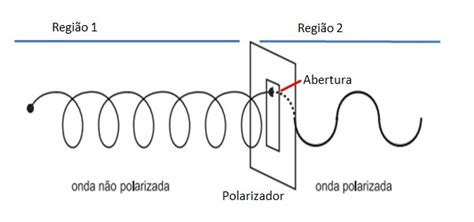 Fenômeno Ondulatório Polarização E Interferência De Uma Onda